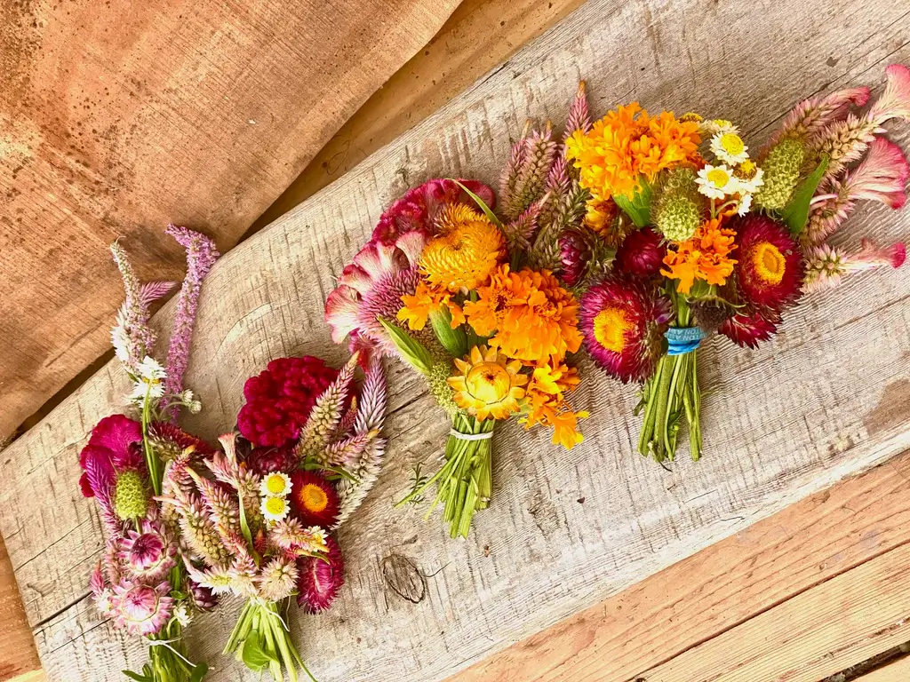 Dried Flowers